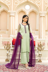 Light Green Organza Dress Design