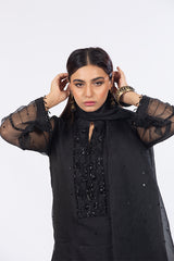 Black Organza Suit with Dupatta