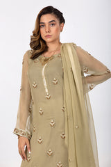 Olive Green Suit with Chiffon Dupatta