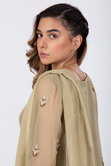 Olive Green Suit with Chiffon Dupatta