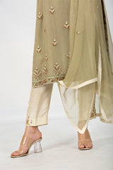 Olive Green Suit with Chiffon Dupatta